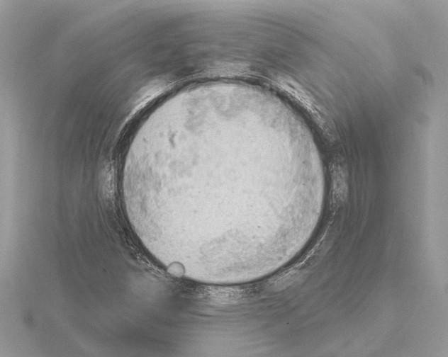 X0000115031258200912071041