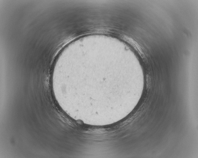 X0000115031260200912071041