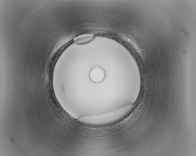 X0000115031261200912071041