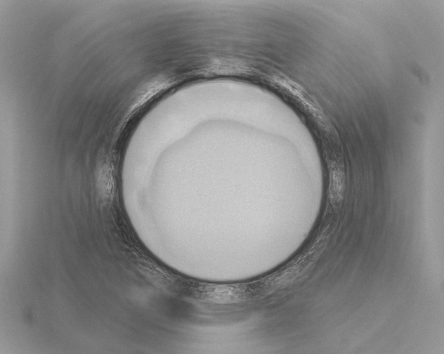 X0000115031266200912071041