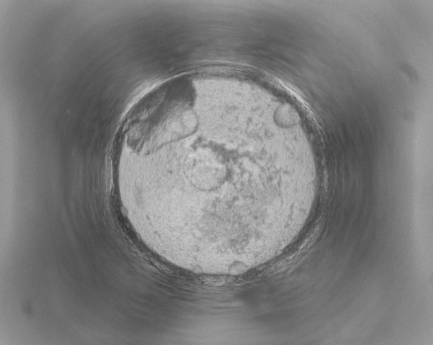 X0000115031267200912071041