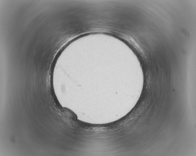 X0000115031268200912071041