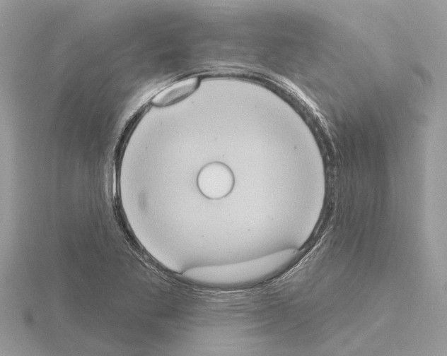 X0000115031269200912071041