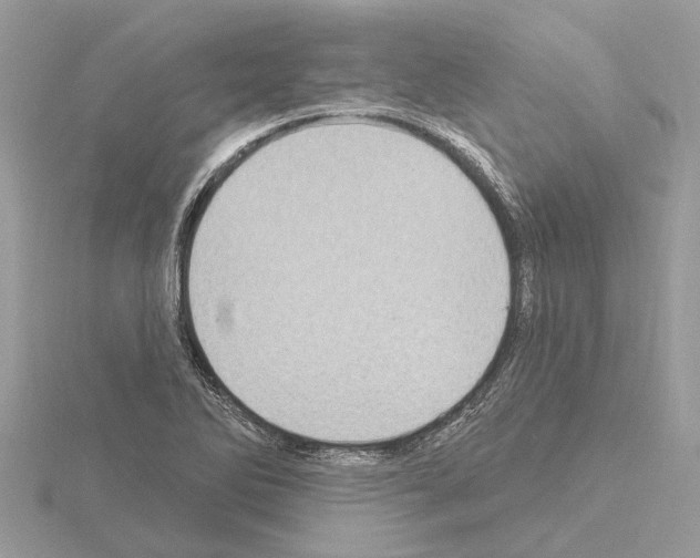 X0000115031270200912071040