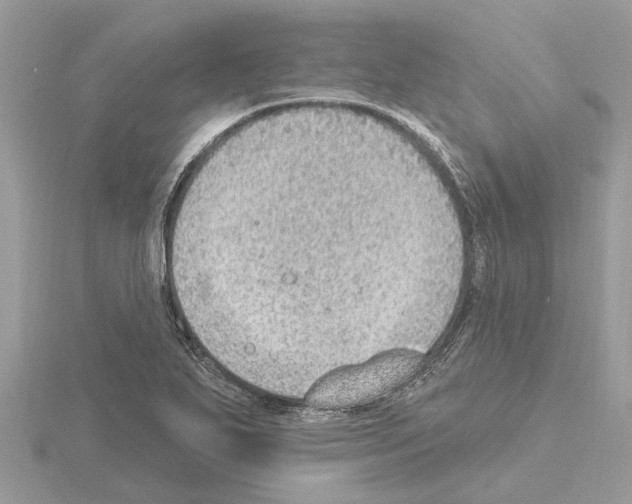 X0000115031271200912071040