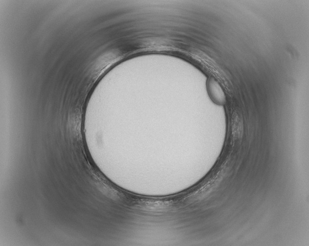 X0000115031273200912071040