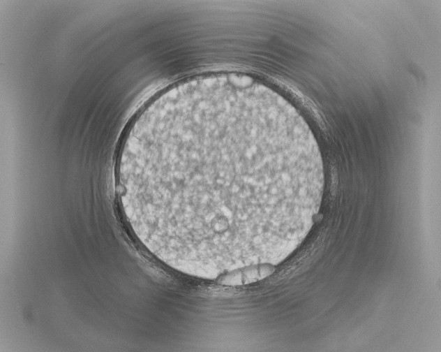 X0000115031274200912071040