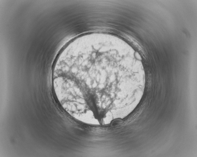 X0000115031275200912071040