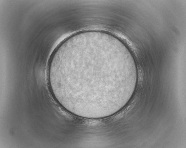 X0000115031278200912071040