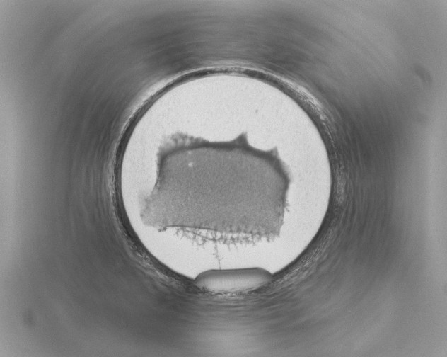 X0000115031279200912071040