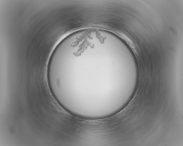 X0000115031280200912071040