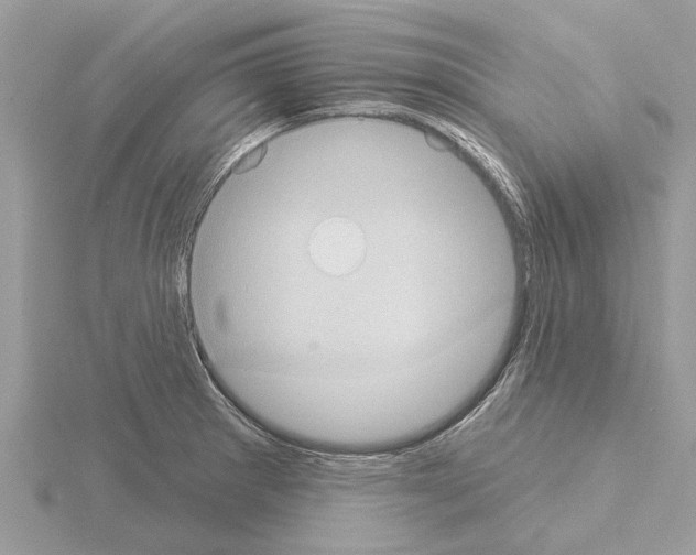 X0000115031281200912071040