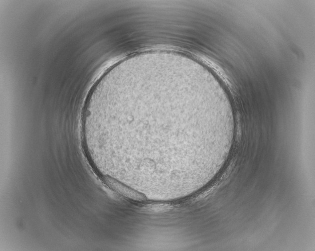 X0000115031282200912071040