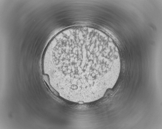 X0000115031283200912071040