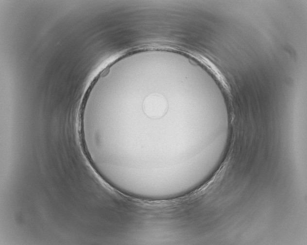 X0000115031285200912071040