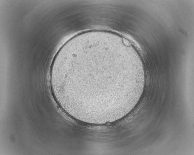 X0000115031287200912071040