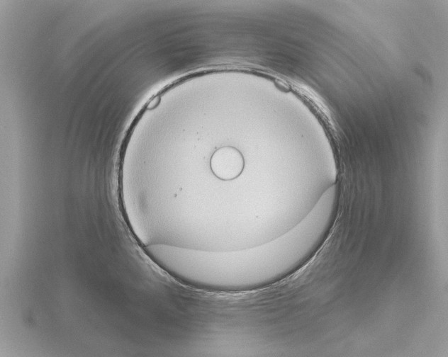 X0000115031288200912071040