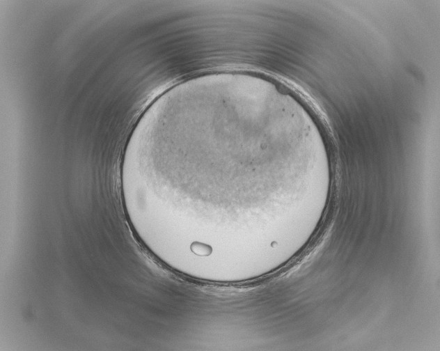 X0000115031289200912071040