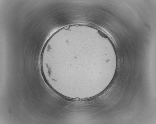 X0000115031291200912071040