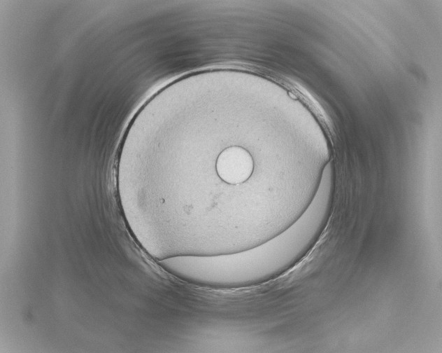 X0000115031292200912071040