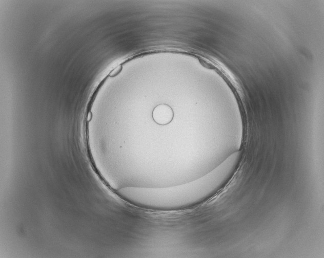 X0000115031293200912071040