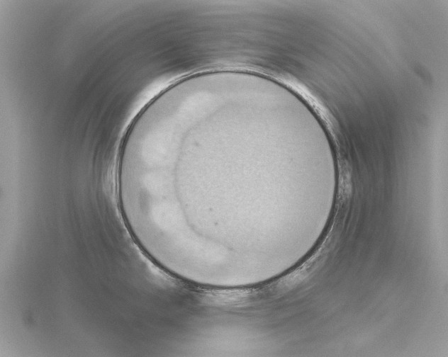 X0000115031294200912071040