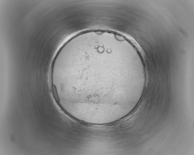 X0000115031295200912071040