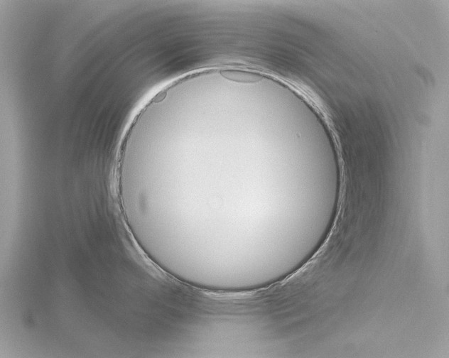 X0000115031296200912071040