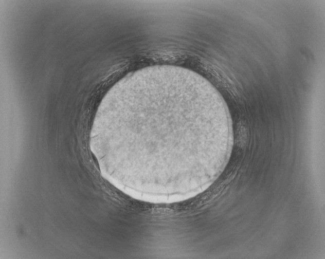 X0000115031297200912071039