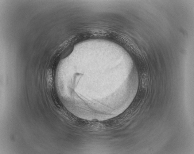 X0000115031298200912071039