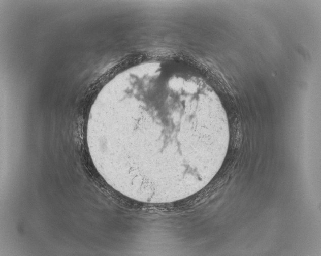 X0000115031301200912071039