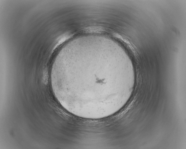 X0000115031306200912071040