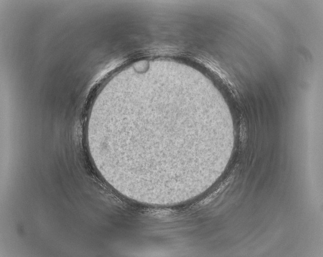 X0000115031309200912071040