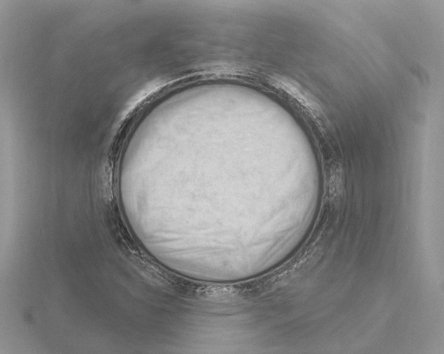 X0000115031310200912071040