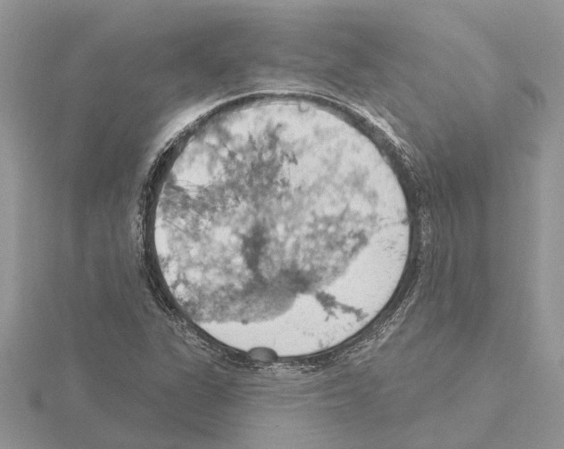 X0000115031311200912071040