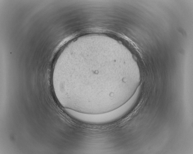 X0000115031314200912071040