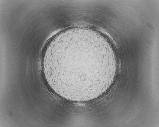 X0000115031315200912071040