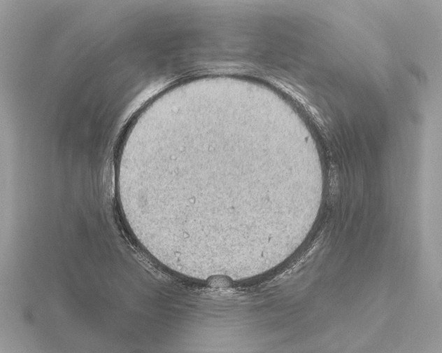 X0000115031317200912071040