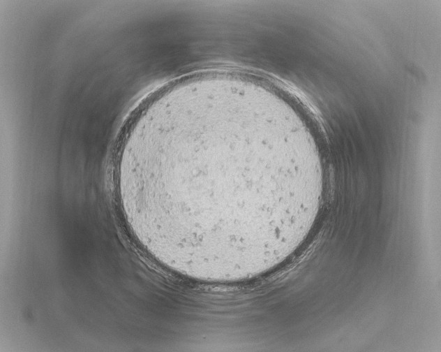 X0000115031318200912071040