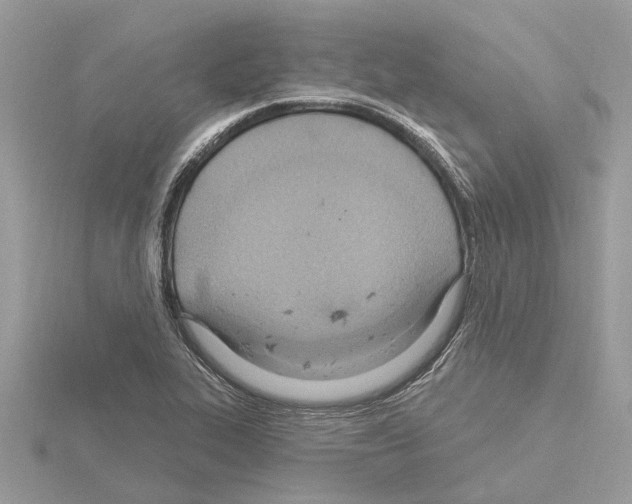 X0000115031319200912071040