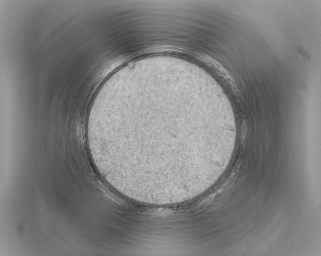 X0000115031321200912071040