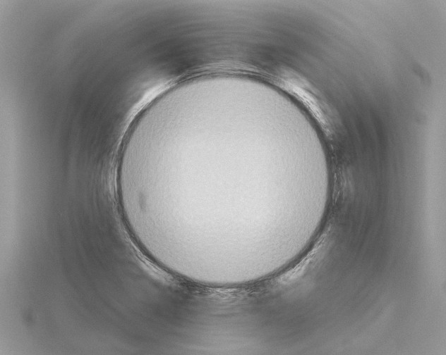 X0000115031322200912071040