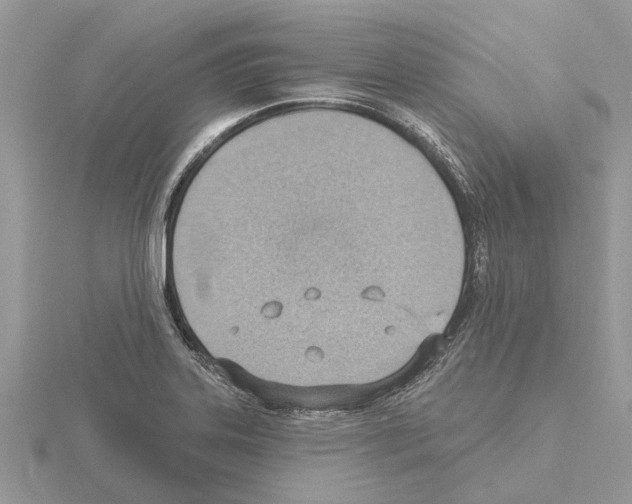 X0000115031323200912071040