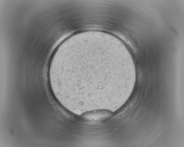 X0000115031325200912071040