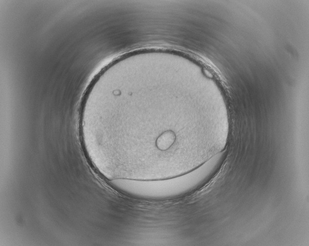 X0000115031326200912071040