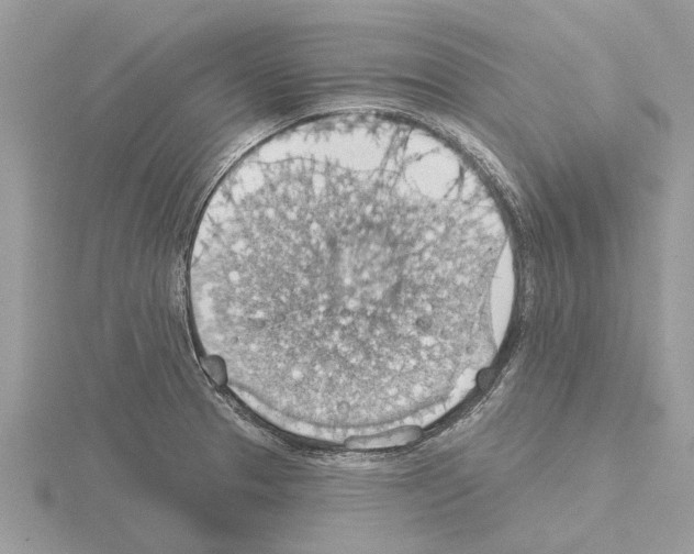 X0000115031329200912071040