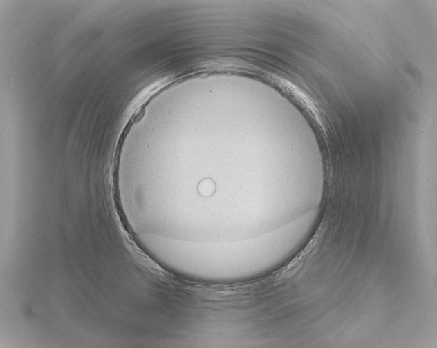 X0000115031330200912071040