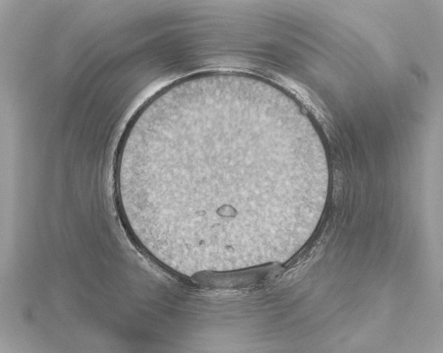 X0000115031331200912071040