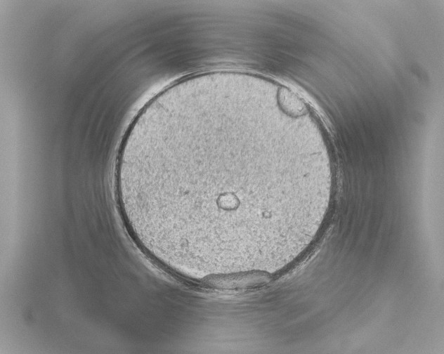 X0000115031333200912071040