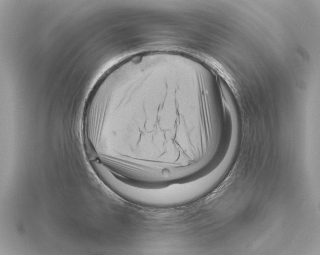 X0000115031334200912071040